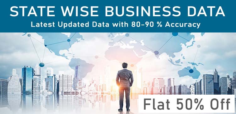 State Wise Business Data